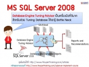 SQLServer