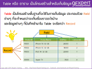 Table กับความสำคัญในงาน ฐานข้อมูล