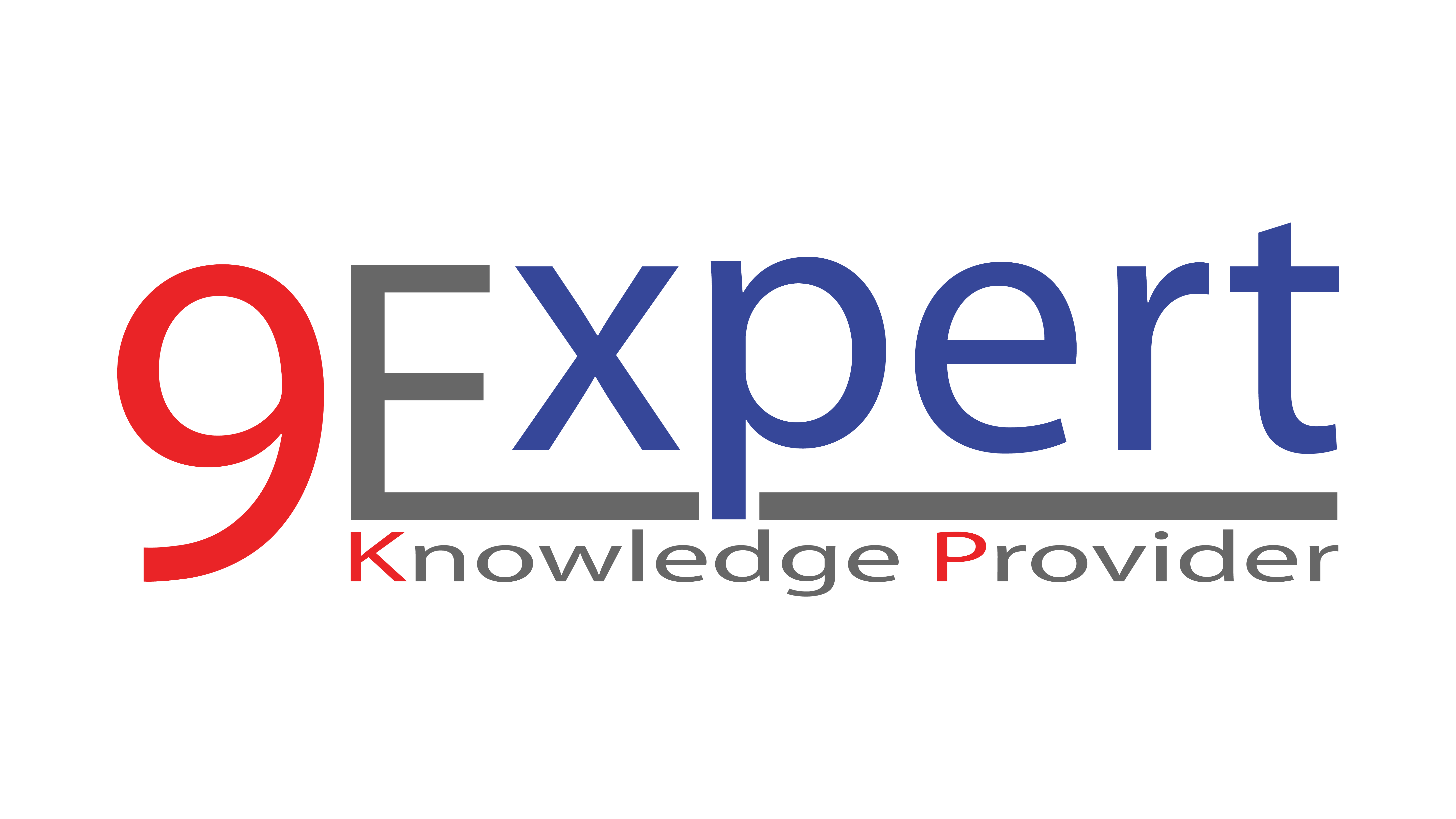 9Expert Logo