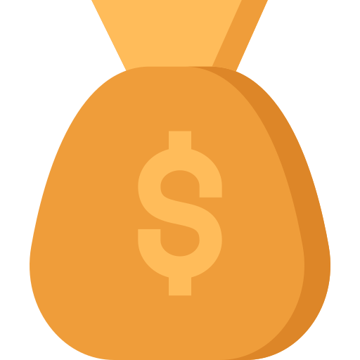 Budget