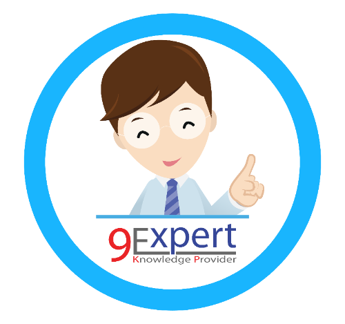 9Expert Mascot Logo
