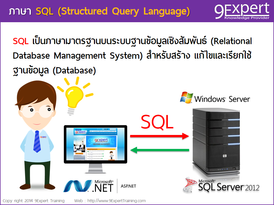 ภาษา Sql (Structured Query Language) และ Transact Sql | 9Expert Training