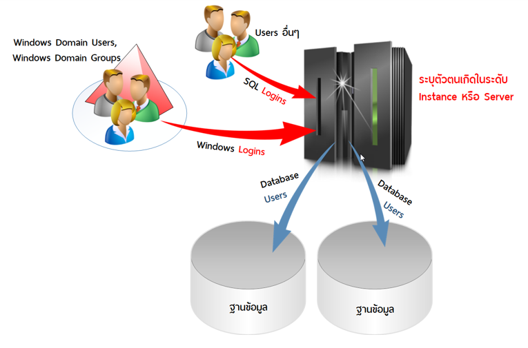 Partially Contained Databases