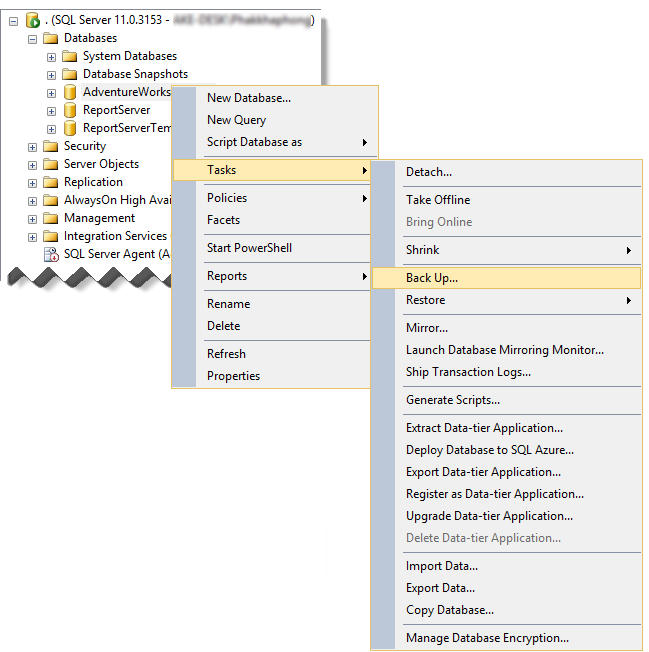 Microsoft SQL Server Transaction Log