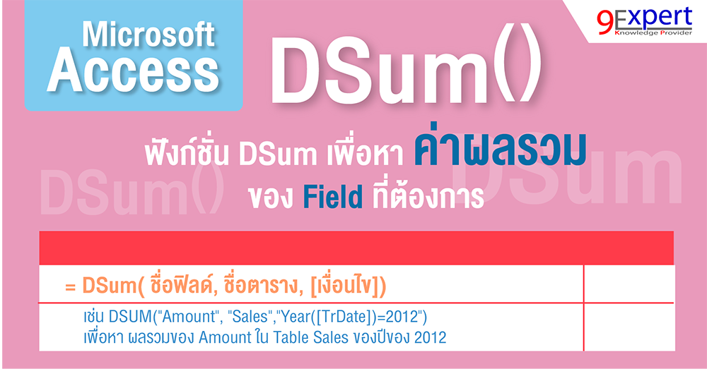 ฟังก์ชั่น-Access-D-SUM