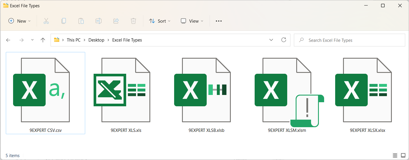 ไฟล์ประเภทต่าง ๆ ที่ทำงานกับ Microsoft Excel ได้ มีทั้ง CSV XLS XLSB XLSM XLSX