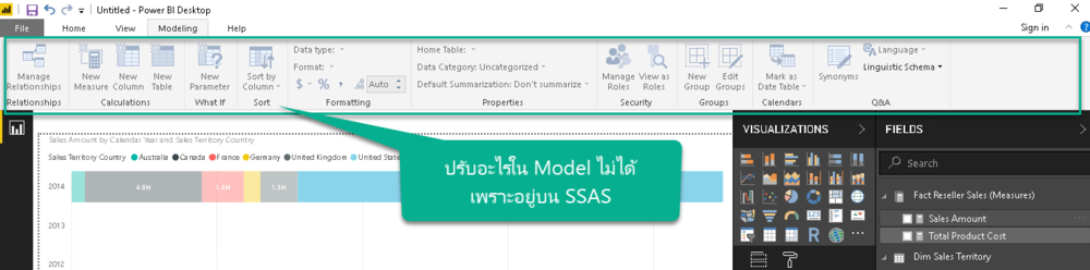 ปรับอะไรใน Model ไม่ได้เพราะอยู่บน SSAS