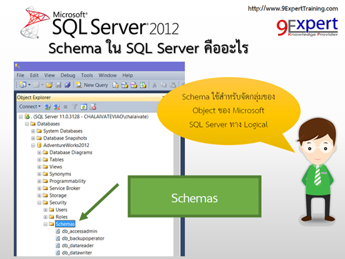 มารู้จักกับ Schema ของ Microsoft Sql Server | 9Expert Training