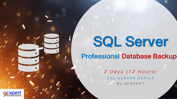 Professional SQL Server Database Backup Course
