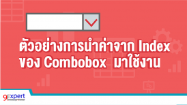 ตัวอย่างการนำค่าจาก Index ของ Combobox  มาใช้งาน