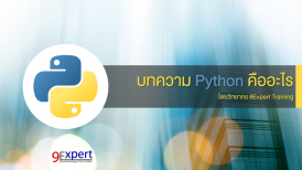 ภาษาโปรแกรม Python คืออะไร ?