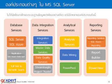 องค์ประกอบต่าง ๆ ใน MS SQL Server