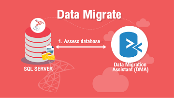 Data Migrate