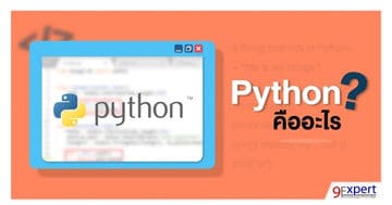 Python Programming Course