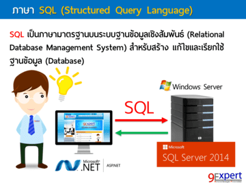 SQL (Structired Query Language)