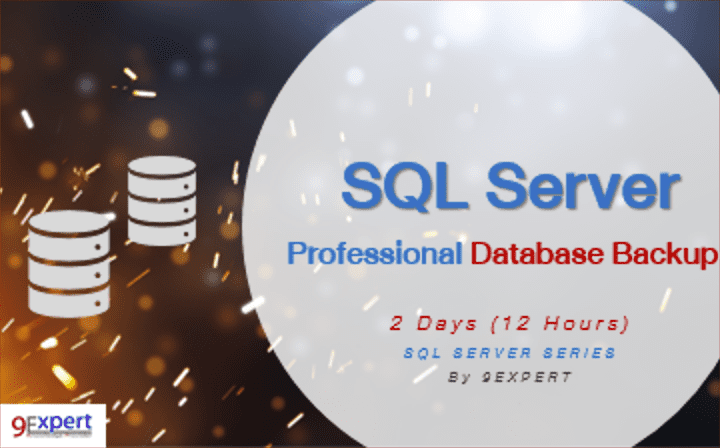 Professional SQL Server Database Backup Course