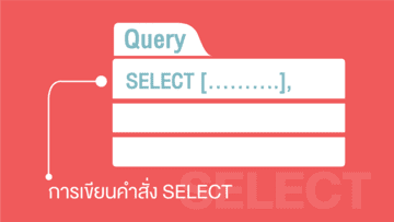 การเขียนคำสั่ง SELECT