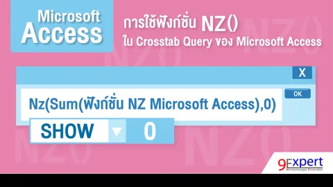  การใช้ฟังก์ชัน NZ  ใน Crosstab Query ของ Microsoft Access