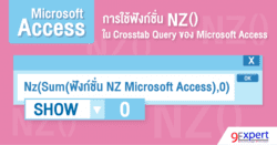 การใช้ฟังก์ชัน NZ  ใน Crosstab Query ของ Microsoft Access