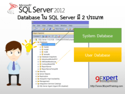 Database ใน SQL Server มี 2 ประเภท