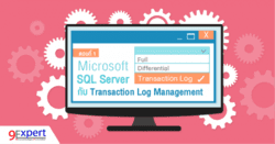 Microsoft SQL Server  Transaction Log 1