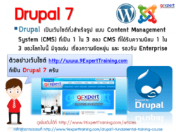 Drupal 7 เป็น CMS