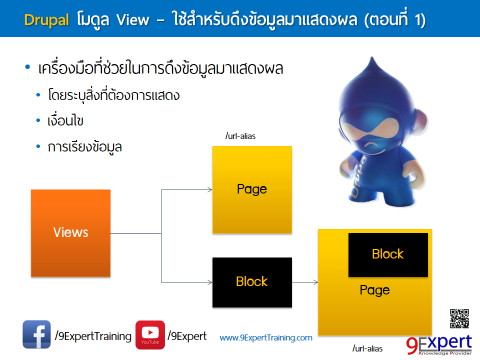 Drupal View Module