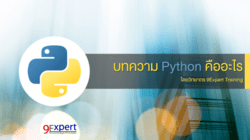 ภาษาโปรแกรม Python คืออะไร ?