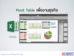 Pivot Table for your business  เพื่องานธุรกิจ