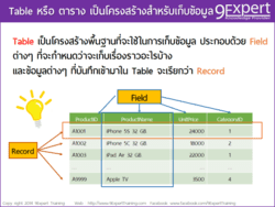 Table กับความสำคัญในงาน ฐานข้อมูล