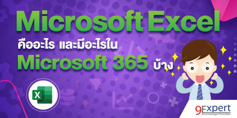 Microsoft Excel คืออะไรและมีอะไรใน Microsoft 365 บ้าง