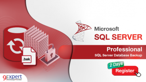 หลักสูตร Professional SQL Server Database Backup