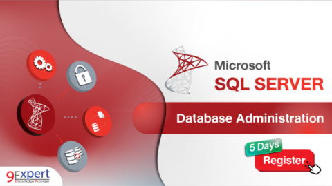 Microsoft SQL Server Essential | 9Expert
