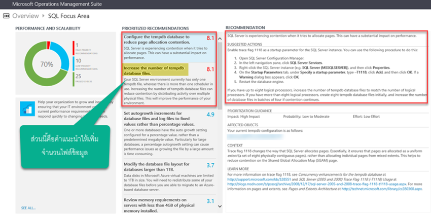 ส่วนของ SQL Focus Area