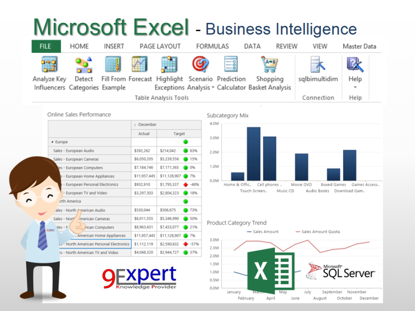Microsoft Excel Business Intelligence โดยใช้ร่วมกับ Microsoft SQL Server