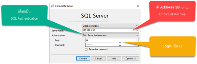 Login เข้าสู่ Microsoft SQL Server Management Service