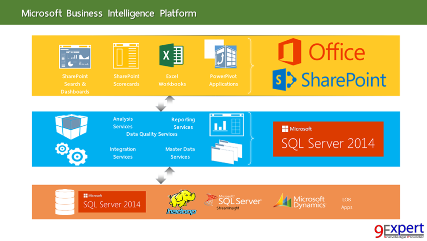 Microsoft Business lntelligence Platform